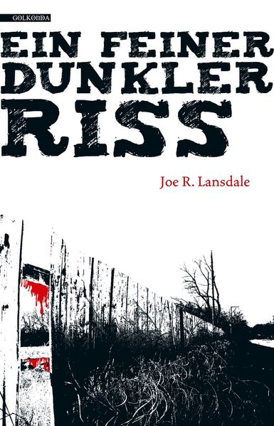 Cover von Ein feiner dunkler Riss