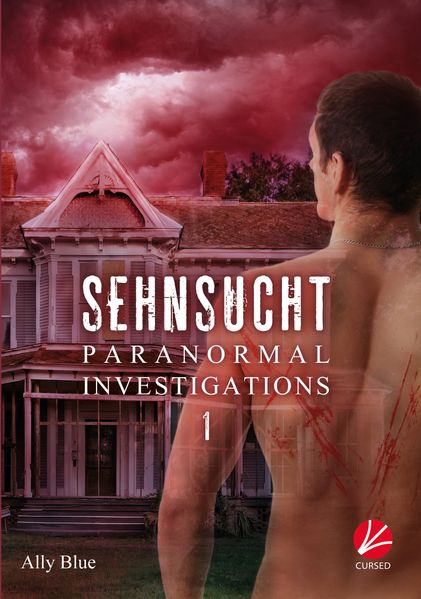 Cover von Paranormal Investigations 1: Sehnsucht