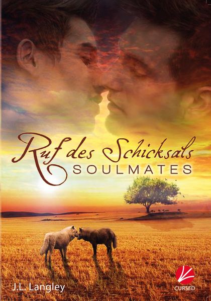 Cover von Soulmates: Ruf des Schicksals
