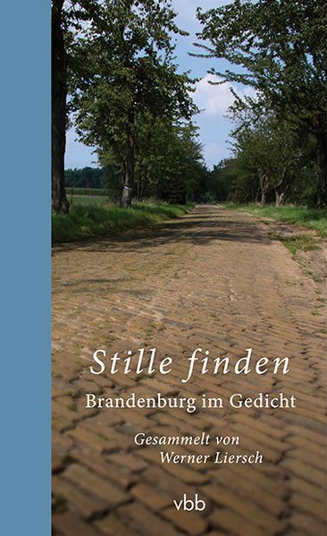 Cover von Stille finden