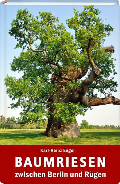 Cover von Baumriesen zwischen Berlin und Rügen