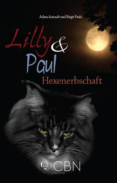 Cover von Hexenerbschaft