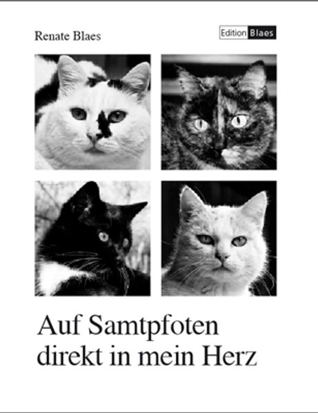 Cover von Auf Samtpfoten direkt in mein Herz