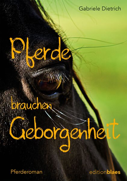Cover von Pferde brauchen Geborgenheit