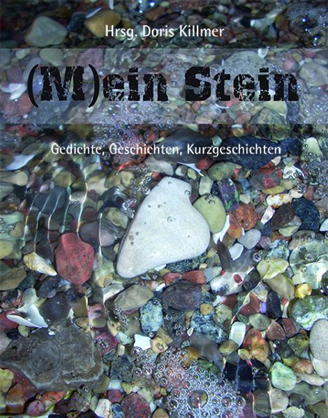 Cover von Alltagsriesen