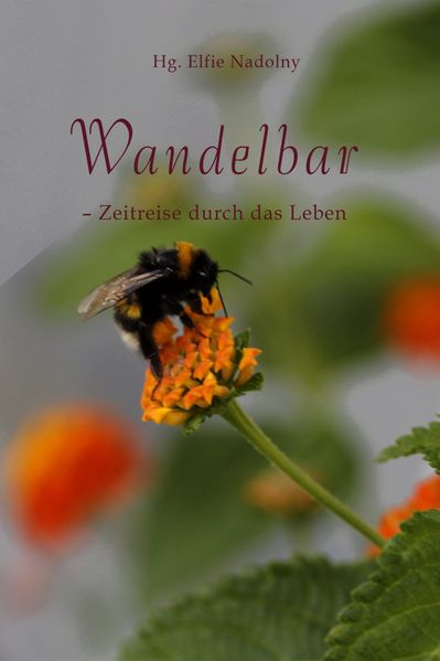 Cover von Wandelbar