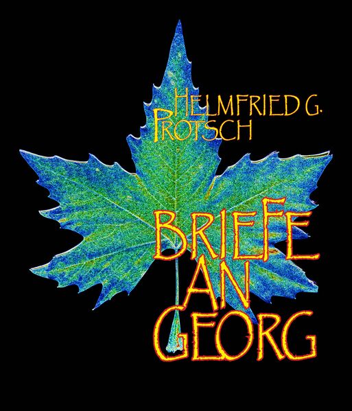 Cover von Briefe an Georg