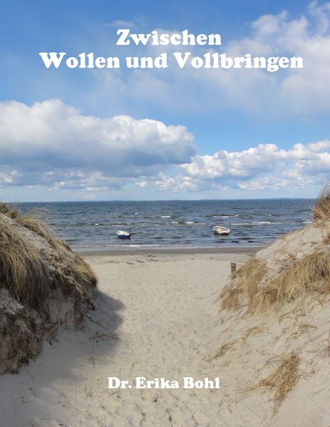 Cover von Zwischen Wollen und Vollbringen