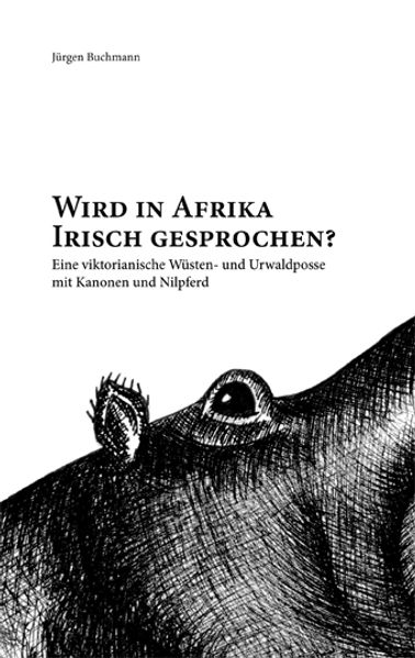 Cover von Wird in Africa Irisch gesprochen?