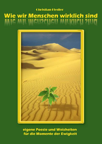 Cover von Wie wir Menschen wirklich sind