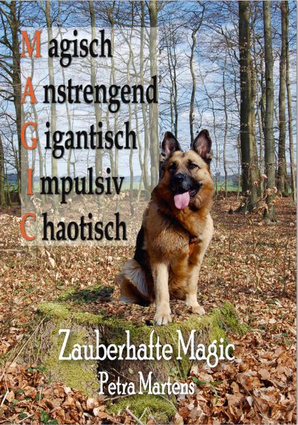 Cover von Zauberhafte Magic