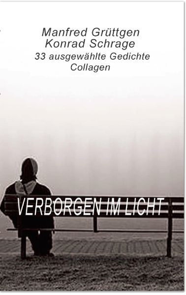 Cover von Verborgen im Licht