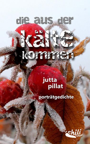 Cover von die aus der kälte kommen