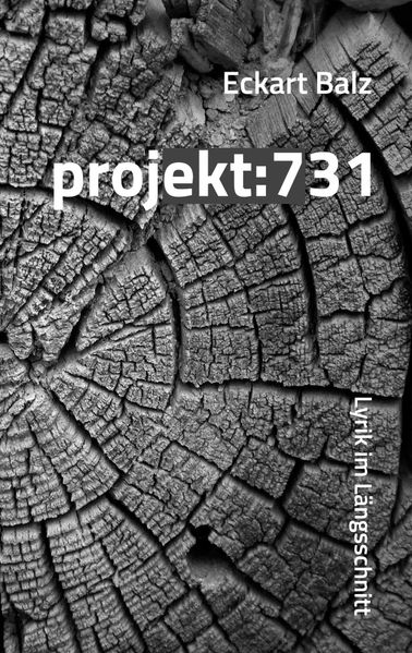 Cover von projekt: 731