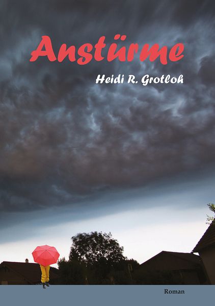 Cover von Anstürme