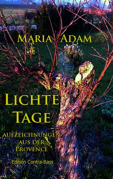 Cover von Lichte Tage