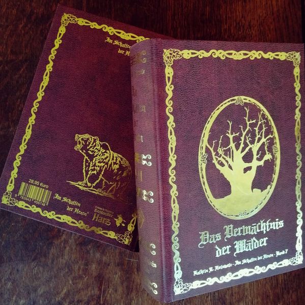 Cover von Im Schatten der Hexen VII