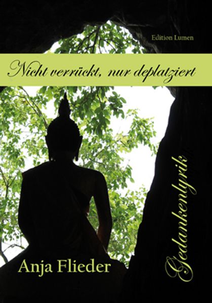 Cover von Nicht verrückt, nur deplatziert