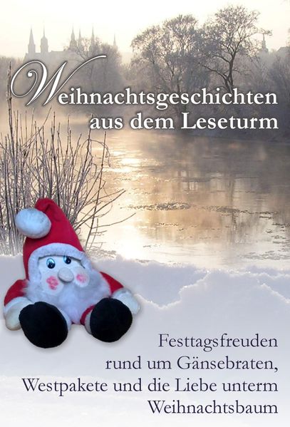 Cover von Weihnachtsgeschichten aus dem Leseturm