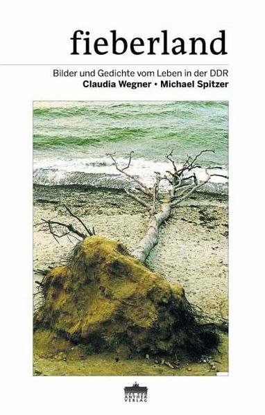 Cover von Fieberland