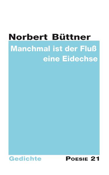 Cover von Manchmal ist der Fluß eine Eidechse