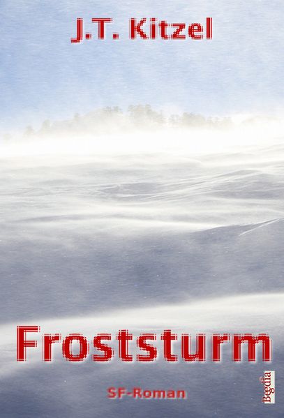 Cover von Froststurm