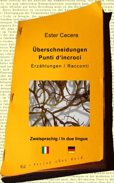 Cover von Überschneidungen