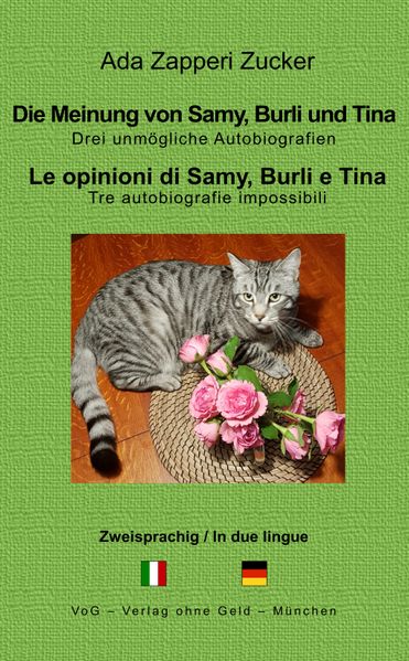 Cover von Die Meinung von Samy, Burli und Tina