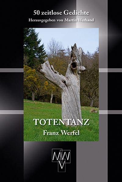 Cover von Totentanz