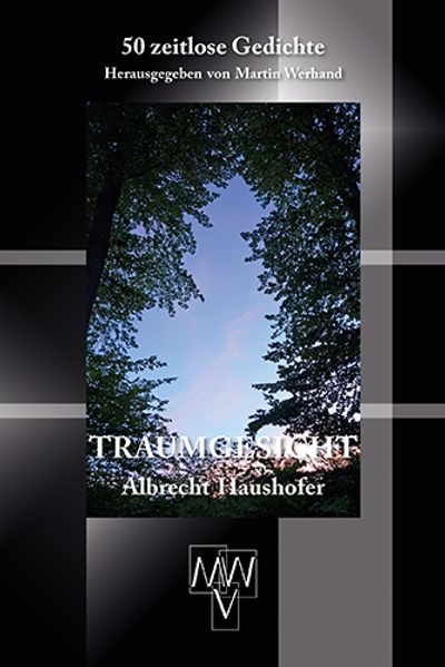 Cover von Traumgesicht