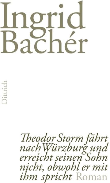 Cover von Theodor Storm fährt nach Würzburg und erreicht seinen Sohn nicht, obwohl er mit ihm spricht