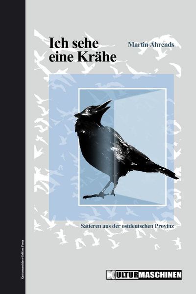 Cover von Ich sehe eine Krähe