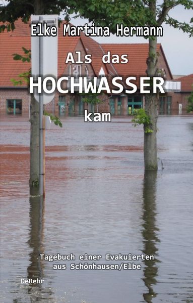 Cover von Als das Hochwasser kam