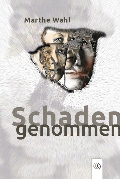 Cover von Schaden genommen