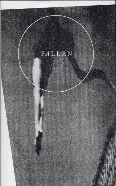 Cover von Fallen