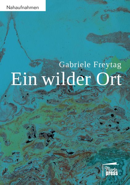 Cover von Ein wilder Ort