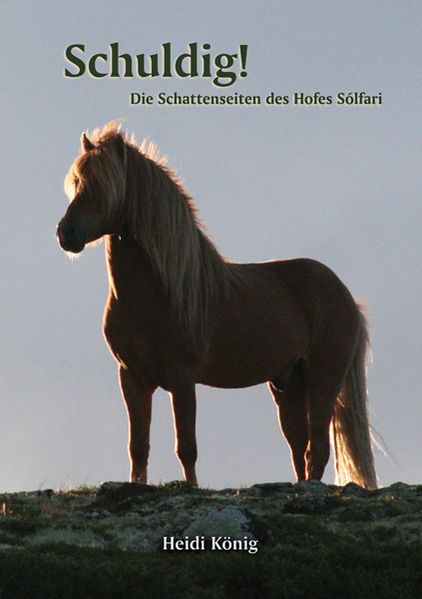 Cover von Schuldig!