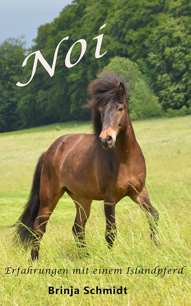 Cover von Noi