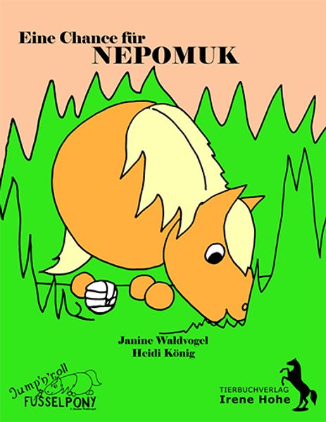 Cover von Eine Chance für Nepomuk
