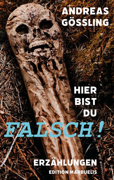 Cover von Hier bist du falsch!