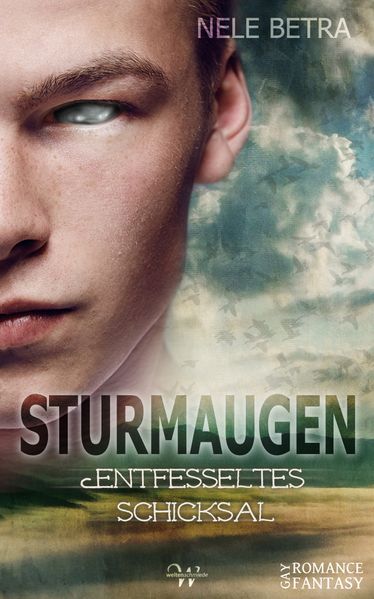 Cover von Sturmaugen