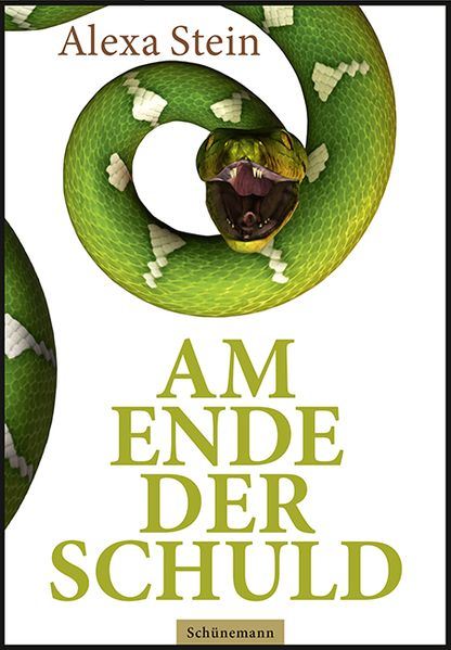 Cover von Am Ende der Schuld