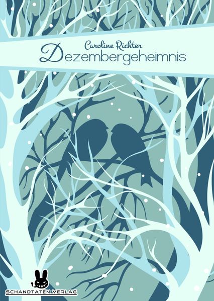Cover von Dezembergeheimnis