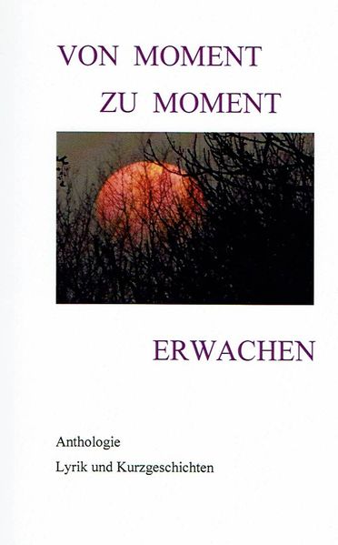 Cover von Von Moment zu Moment Erwachen