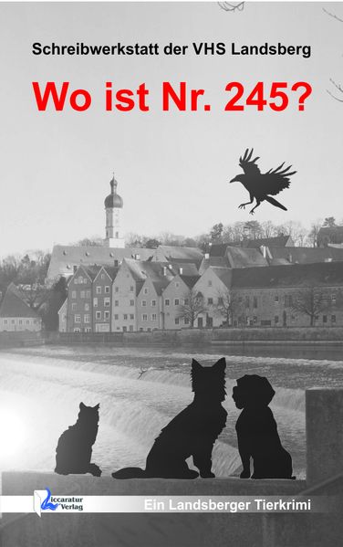 Cover von Wo ist Nr. 245?