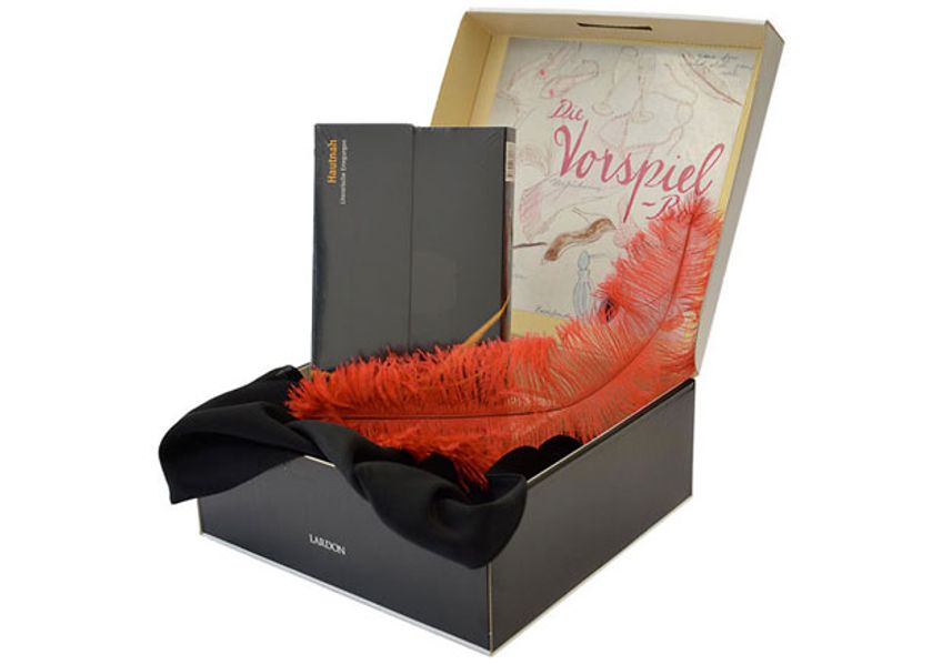 Cover von Geschenkbox mit Buch: HAUTNAH – DIE VORSPIEL BOX
