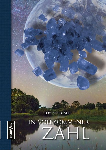 Cover von In vollkommener Zahl
