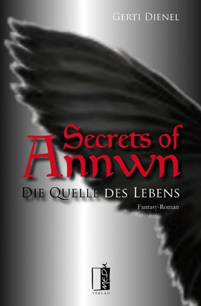 Cover von Vergessene Fügung