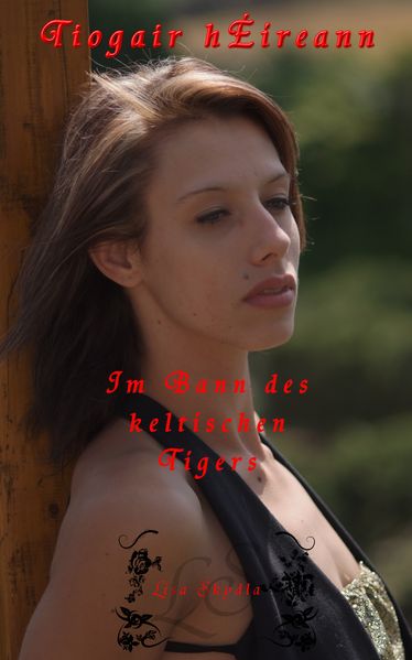 Cover von Im Bann des keltischen Tigers – Tíogaír hÉireann