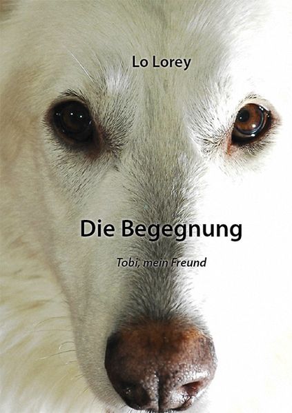 Cover von Die Begegnung